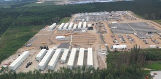 Vitamin delivery mixup causes chaos in oilsands work camp