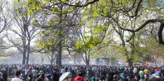 Oil & Grass community disrupts downtown Calgary