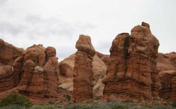 Geologists form independent professional association