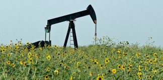 Calgary Resources Inc. flops first oil well, taxpayers outraged