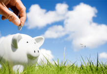 Best West Exploration announces near $0 capital budget for 2014