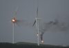 Study: Wind Turbines disrupt natural wind currents, cause hurricanes, and kill birds