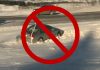 City Council votes in favour of using super-heated bitumen to keep Calgary snow-free