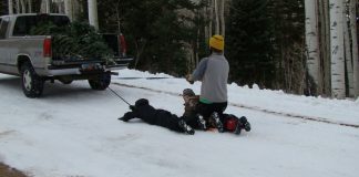 Monday Feb. 10th Oilympic Update: the Bit Curl and Truck Skiing