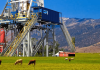 Corporate joint-venture aims to drill Canada’s longest wells