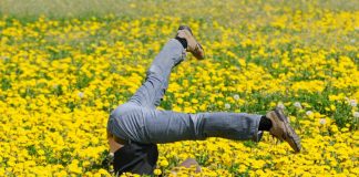 Student makes air pollution smell nicer, problem solved