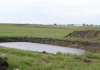 Farmer charged after filling his dugout with diesel