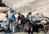 5 Things everyone should know about geologists (Part II)