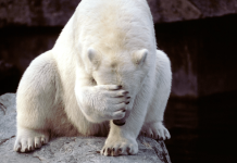 NDP Energy Minister embarrassed after industry meet and greet