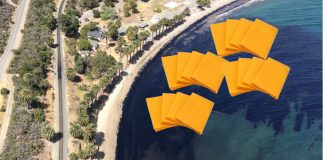 ShamWow-based super towels approved for oil spill cleanup along BC’s coastline