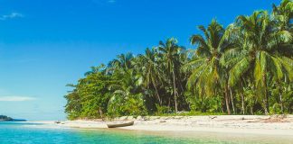 Geologists discovered investing in future vacation properties