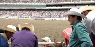 Premier Kenney challenges Justin Trudeau to bull-riding contest