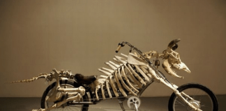 Startling New Paleontological Finds