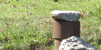 Top Excuses for a Dry Hole