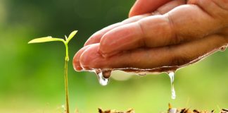 Impossible Grub to introduce biodegradable “Beyond Pipe™” pipelines