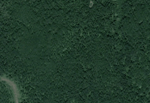 Rural Alberta man secures government funding to create world’s first oxygen farm