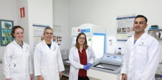 Researchers discover widespread methods used by engineers to avoid social interactions