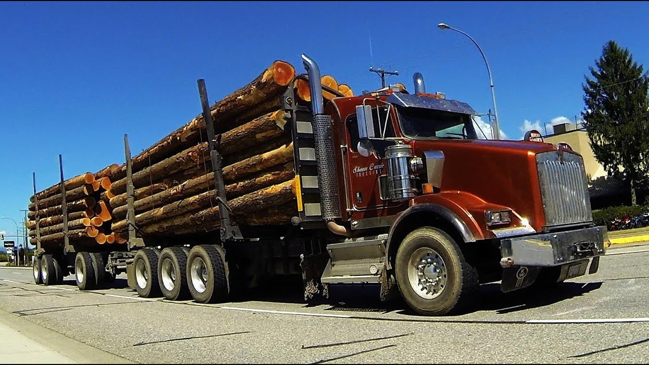 Logging Engineers Offer Significant Cost Saving 2P News