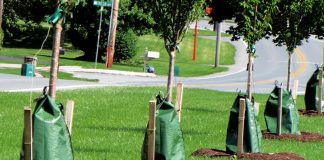 Trudeau Government Plans to Water Trees