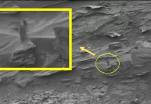 Fantastic Beasts and Where to Shoot Them