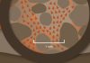 Porosity exchange theory gaining traction with geologists