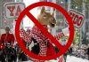 Calgary Mayor Gonyet attempts to cancel Stampede just before parade