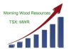 Calgary-based Morning Wood Resources stock price is up amid stiff competition