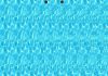 5-D Seismic Surveys Now Available