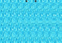 5-D Seismic Surveys Now Available