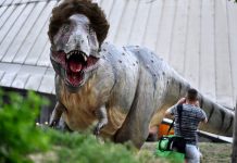 Political Palaeontologists may have discovered the real reason dinosaurs went extinct