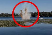 Animal Planet Program “River Monsters” to Feature Bow River Kraken