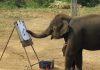 Elephant Hired as Exploration Geologist