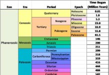 Geologic Time Scale Revised