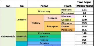 Geologic Time Scale Revised