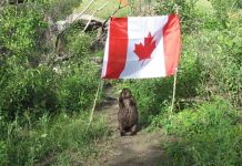 Beaver Expeditionary Force Headed for War Zone