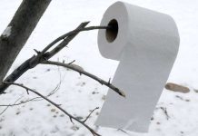 New Toilet Design for Canadian Winters