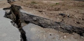 Single use plastic disposal can stop tectonic shift: Red Deer Start-Up Company