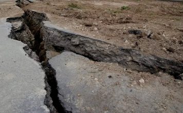 Single use plastic disposal can stop tectonic shift: Red Deer Start-Up Company