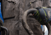 Undercover Boss Oil & Gas CEO assaulted