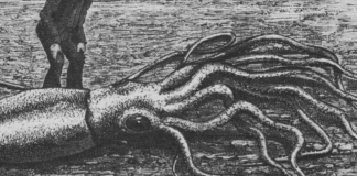 Giant Squid to perform subsea repairs