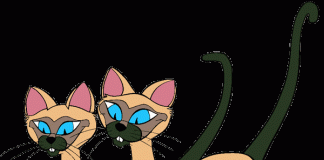 2P News Staffers Yu Mii and Cynthia Redbush in Catfight!