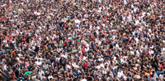 Engineers to help control Rumwhiskeystan’s overpopulation